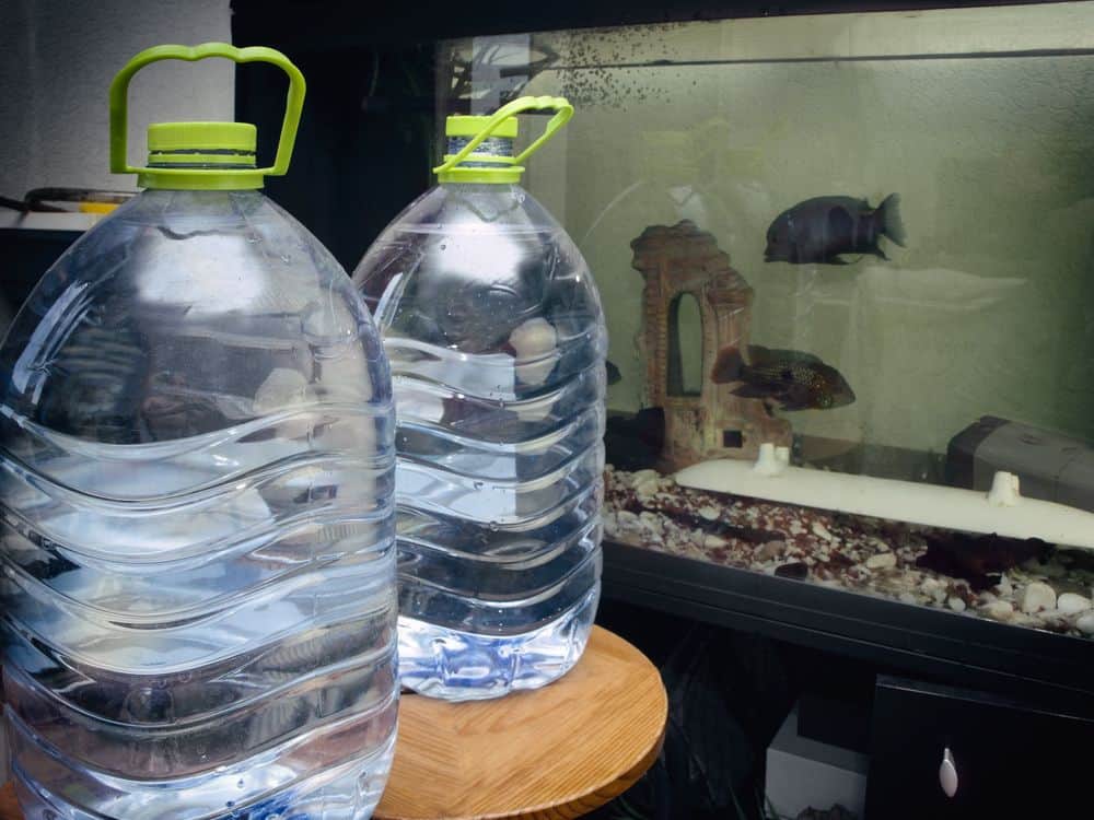 How long does water keep in a 5 gallon jug How Long Does Water Take To Dechlorinate Fish Tank Master